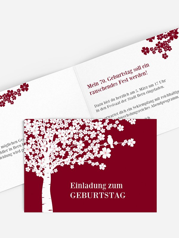 Kirschblüten