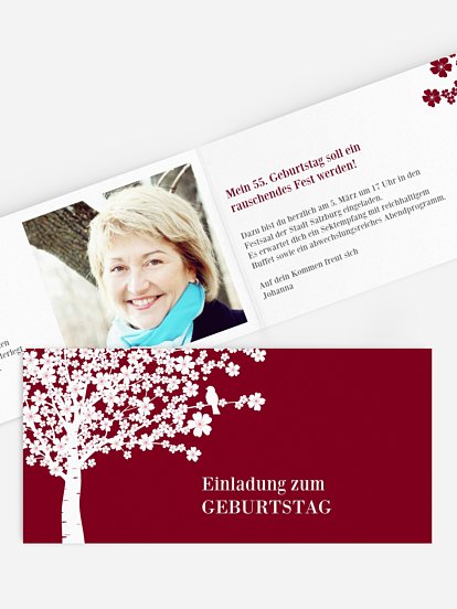 Kirschblüten Kirschblüten
