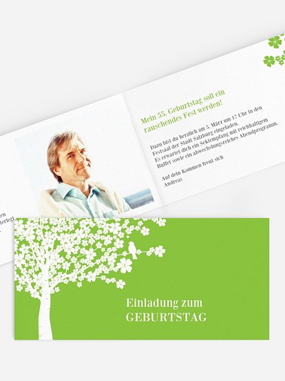 Kirschblüten Kirschblüten