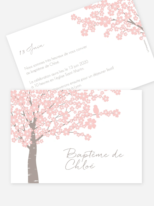 Fleurs de cerisier