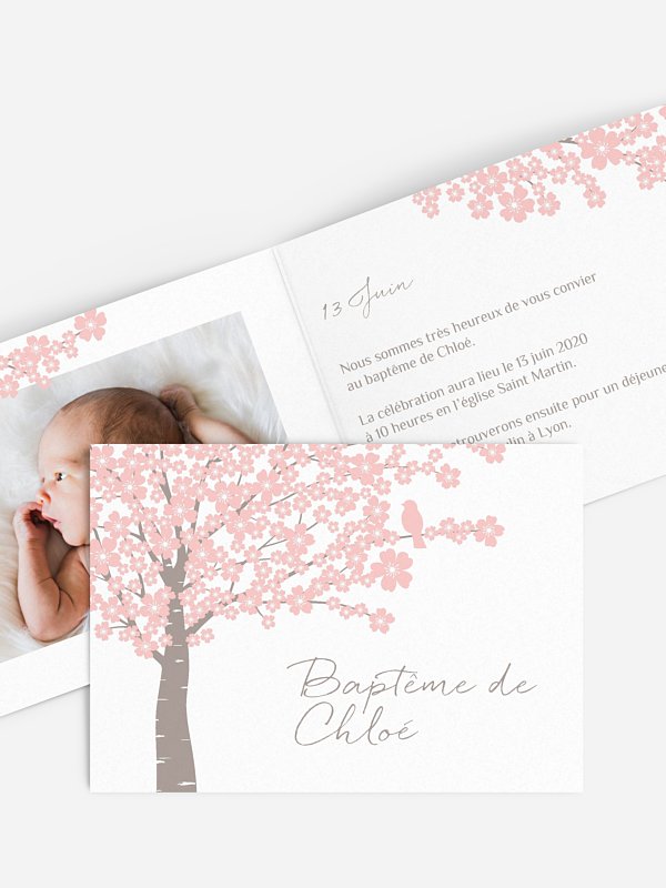Fleurs de cerisier