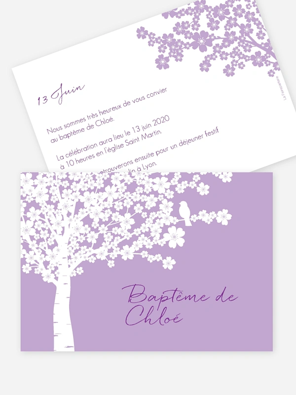 Fleurs de cerisier
