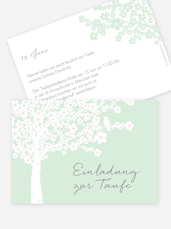 Kirschblüten