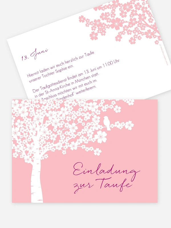Kirschblüten