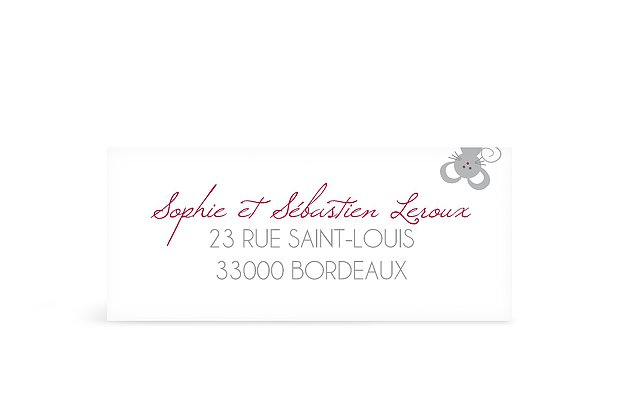 Étiquette expéditeur naissance Chat et souris