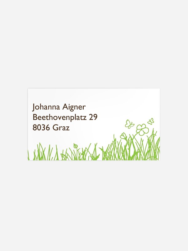 Sommerwiese