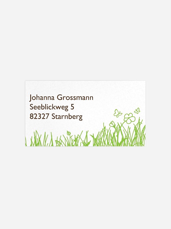 Sommerwiese