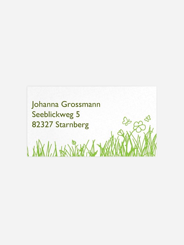 Sommerwiese