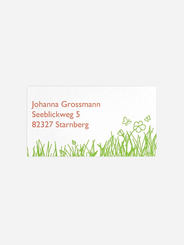 Sommerwiese