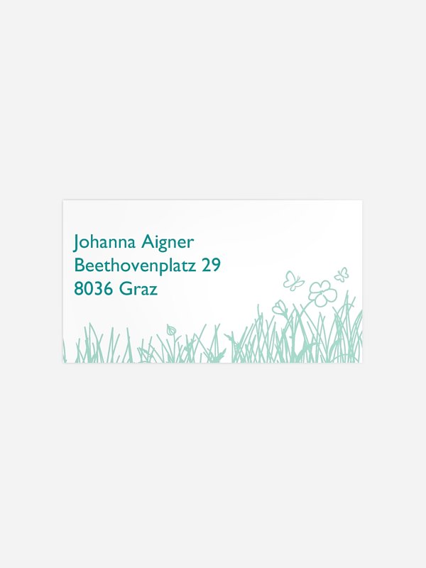 Sommerwiese