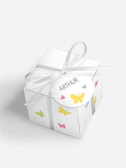 Boite à dragées baptême Envolée de papillons