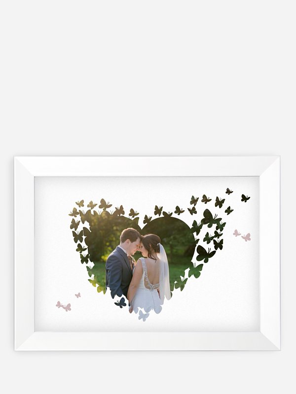 Wandbild Butterflies