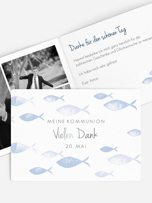 Fischschwarm