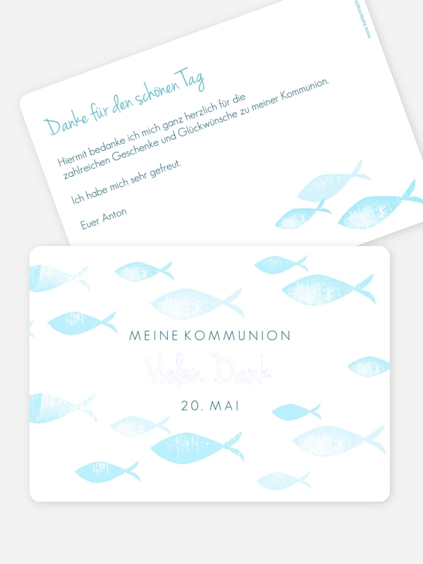 Fischschwarm