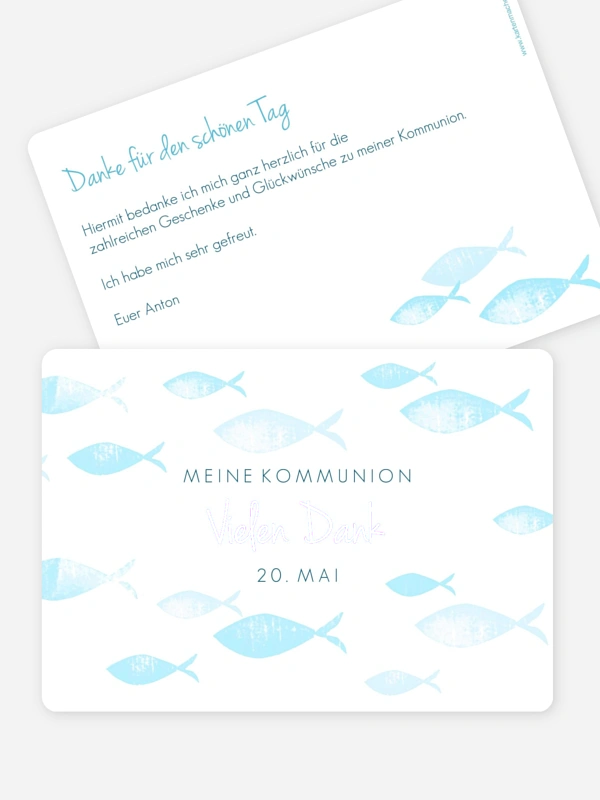 Fischschwarm