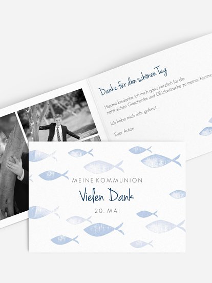 Fischschwarm Fischschwarm