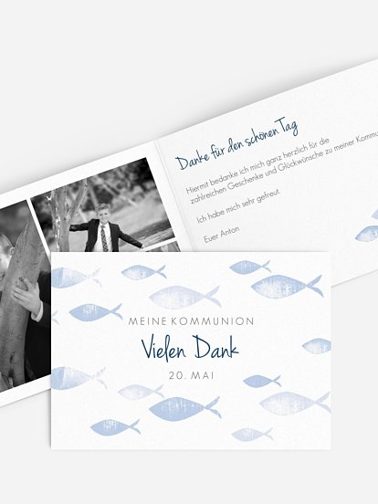 Fischschwarm Fischschwarm