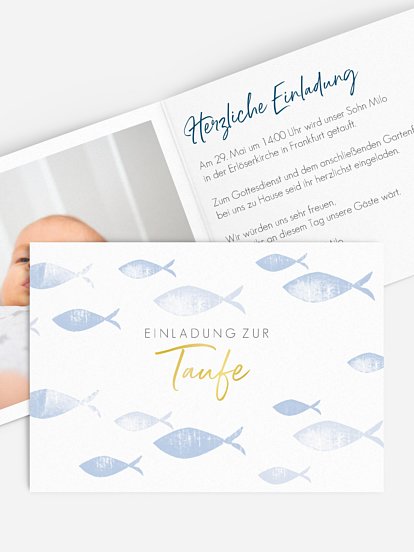 Fischschwarm Fischschwarm