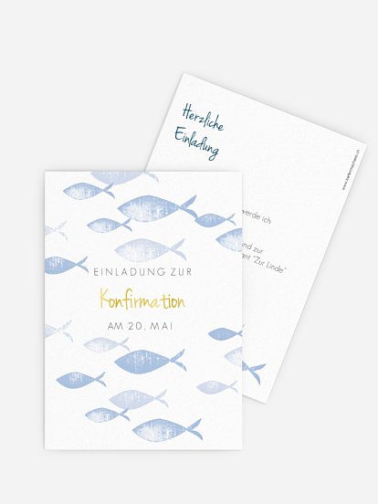 Fischschwarm Fischschwarm