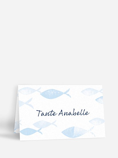 Fischschwarm Fischschwarm