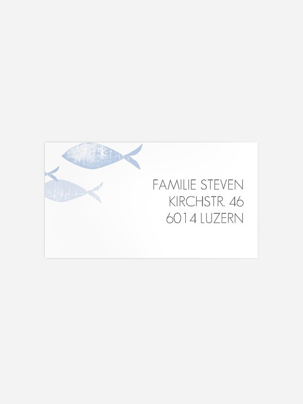 Fischschwarm