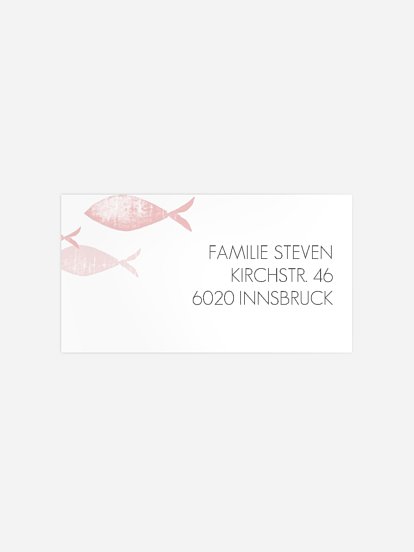 Empfängeraufkleber Taufe Fischschwarm