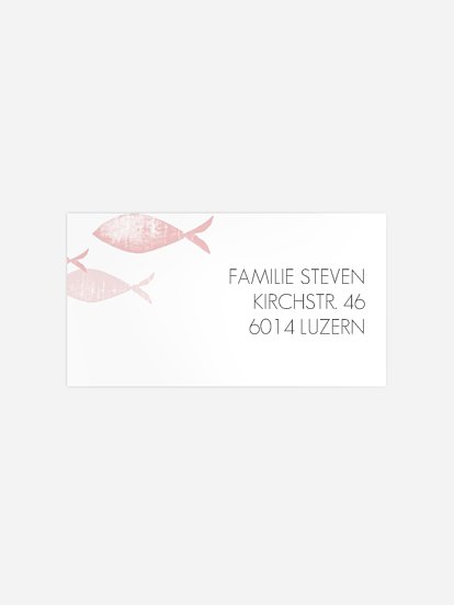 Empfängeraufkleber Taufe Fischschwarm