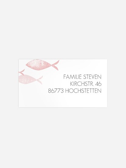 Empfängeraufkleber Taufe Fischschwarm
