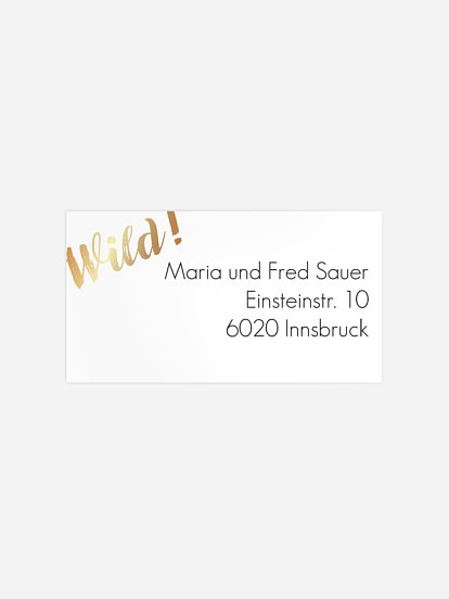 Empfängeraufkleber Party Wild