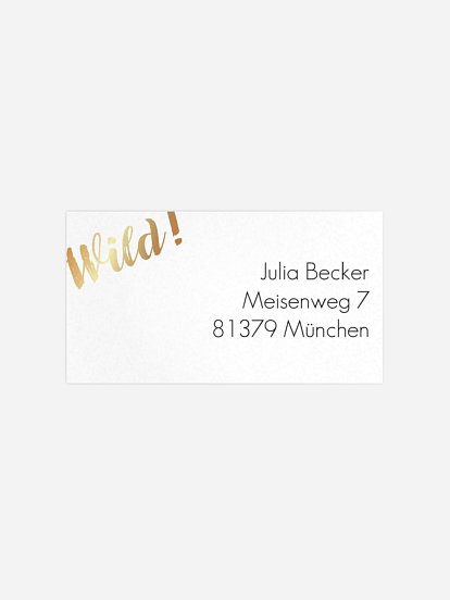 Empfängeraufkleber Party Wild