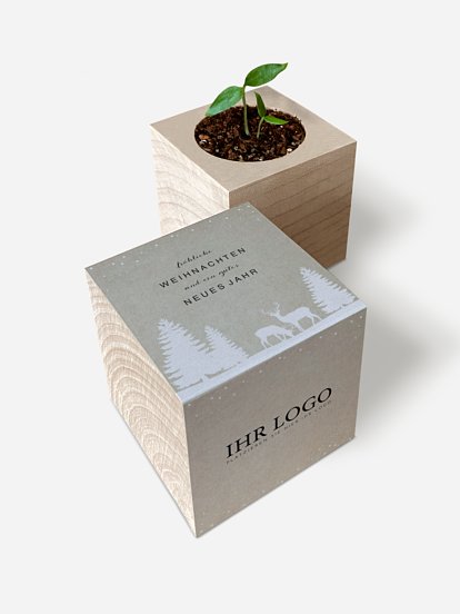 Chili-Pflanze im Holzwürfel Waldzauber