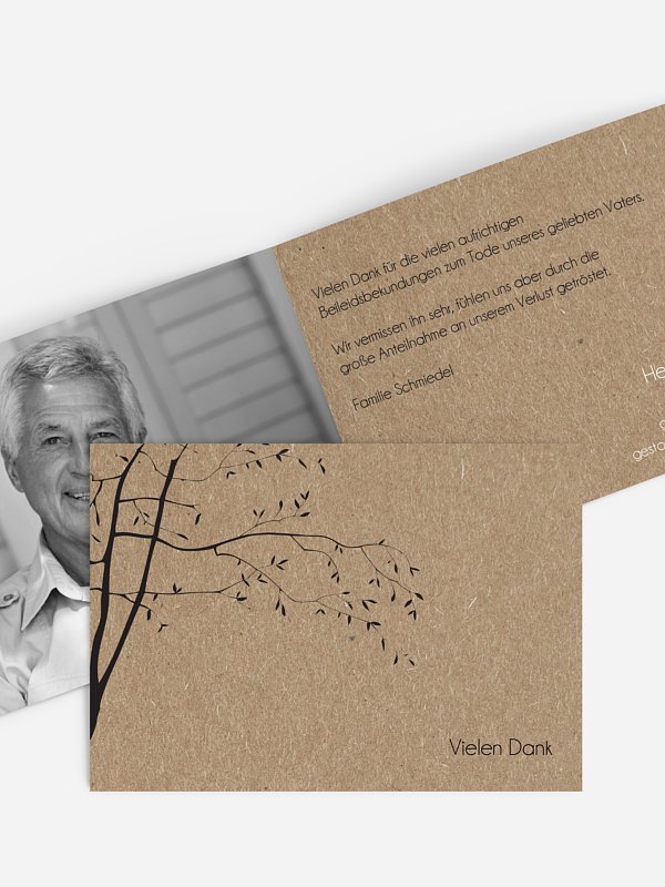 Zweige für Kraftpapier