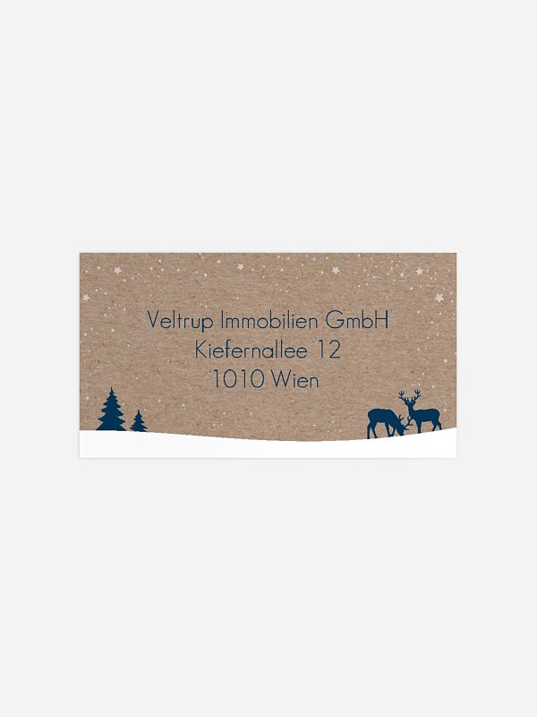 Wintertraum Kraftpapier