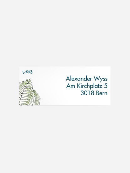 Absenderaufkleber Geburtstag Love Palms