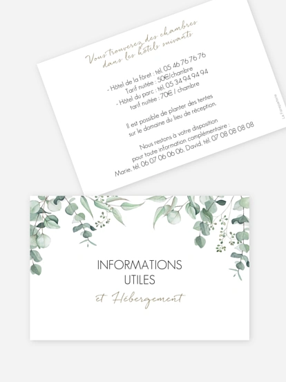 Carton information hébergement Soft Greenery