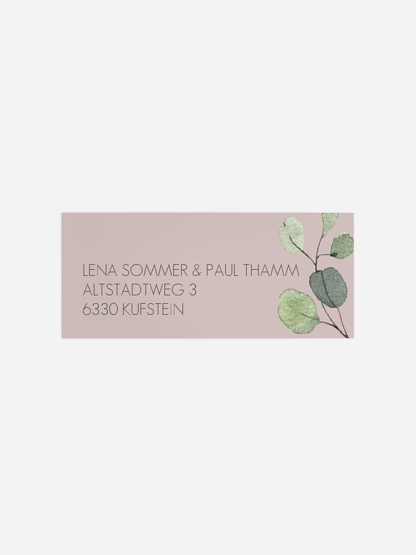 Eucalyptus Leaves