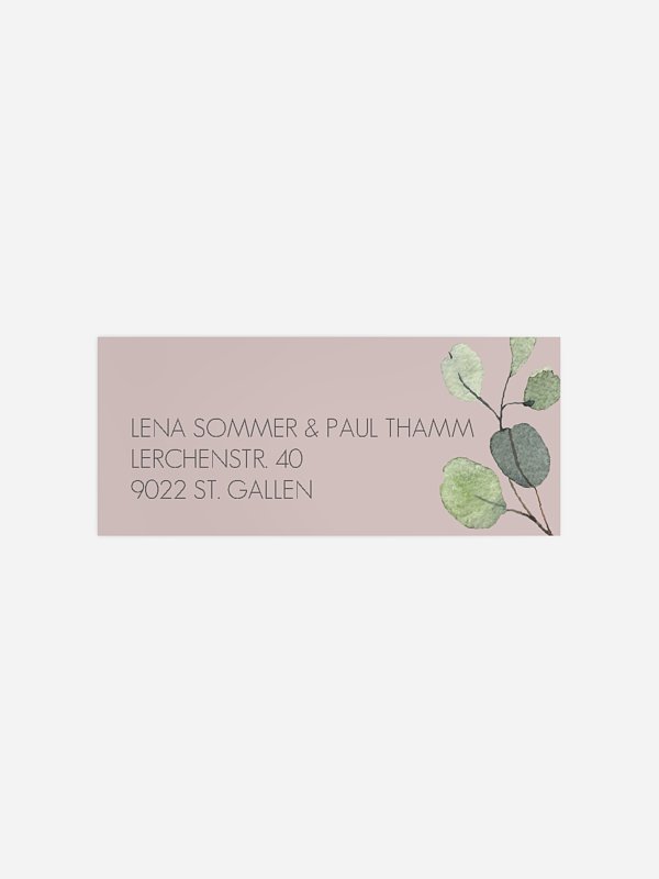 Eucalyptus Leaves