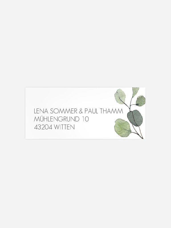 Eucalyptus Leaves
