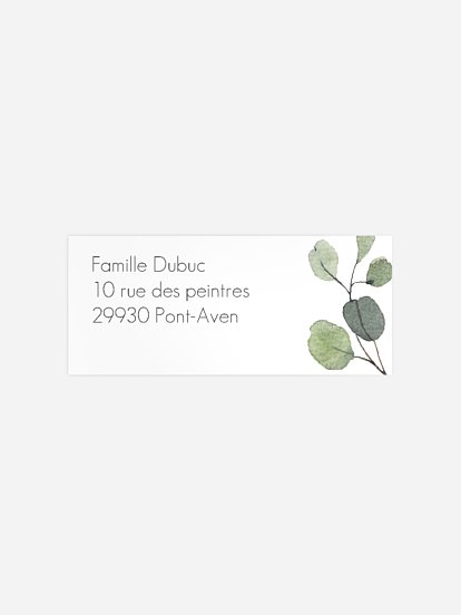 Feuilles d'eucalyptus Feuilles d'eucalyptus