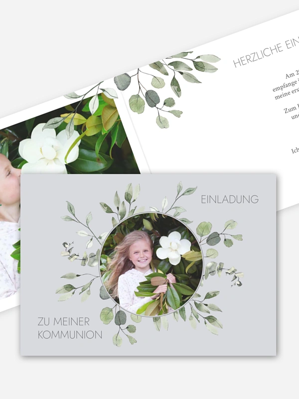 Eucalyptus Leaves