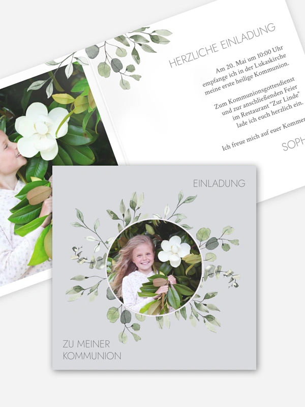 Eucalyptus Leaves