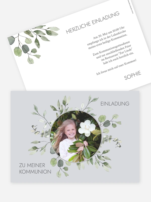 Eucalyptus Leaves