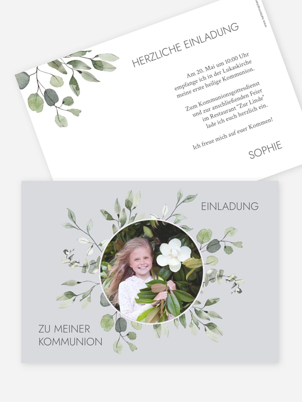 Eucalyptus Leaves