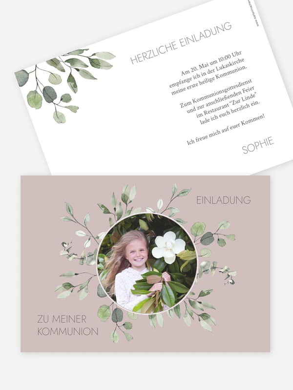 Eucalyptus Leaves