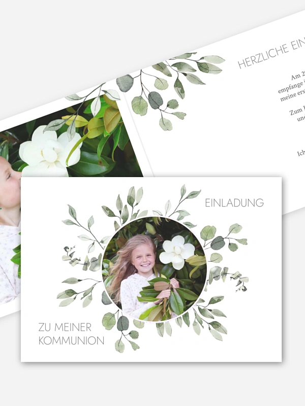 Eucalyptus Leaves