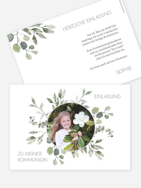 Eucalyptus Leaves