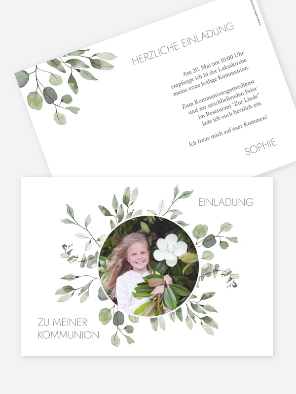 Eucalyptus Leaves