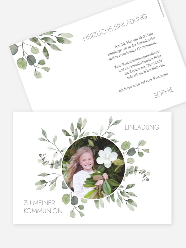 Eucalyptus Leaves