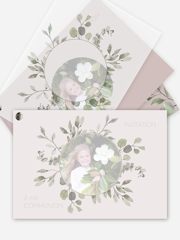 Feuilles d'eucalyptus