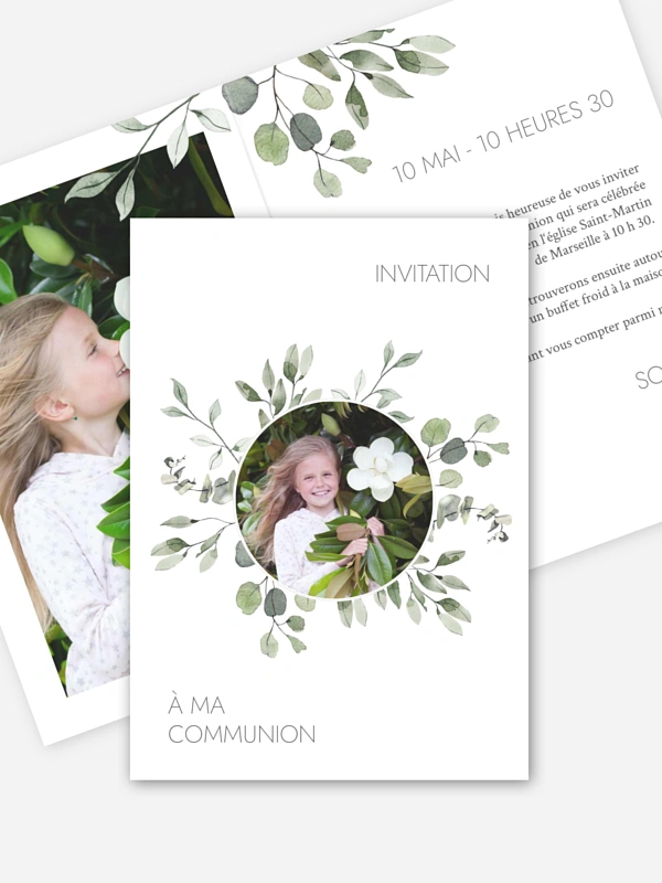 Feuilles d'eucalyptus